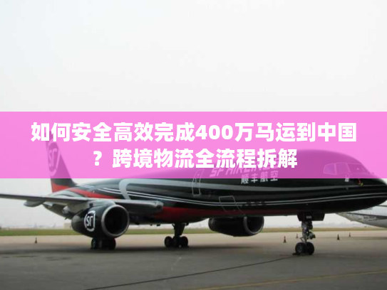 如何安全高效完成400万马运到中国？跨境物流全流程拆解