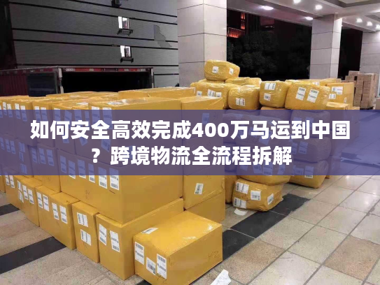 如何安全高效完成400万马运到中国？跨境物流全流程拆解