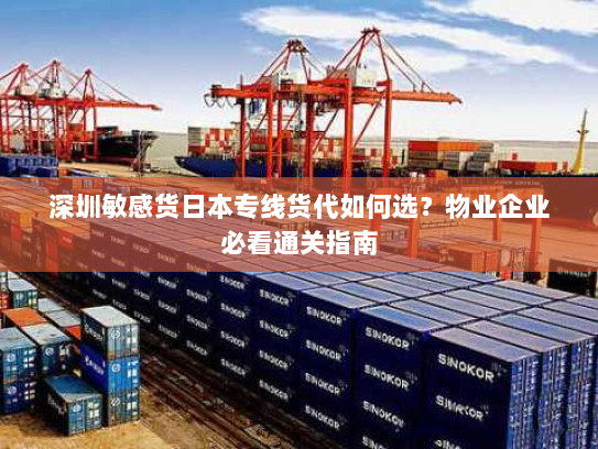 深圳敏感货日本专线货代如何选？物业企业必看通关指南