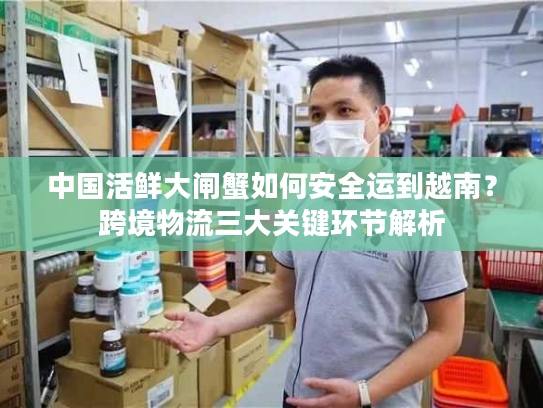 中国活鲜大闸蟹如何安全运到越南？跨境物流三大关键环节解析