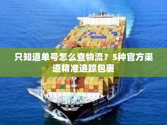 只知道单号怎么查物流？5种官方渠道精准追踪包裹