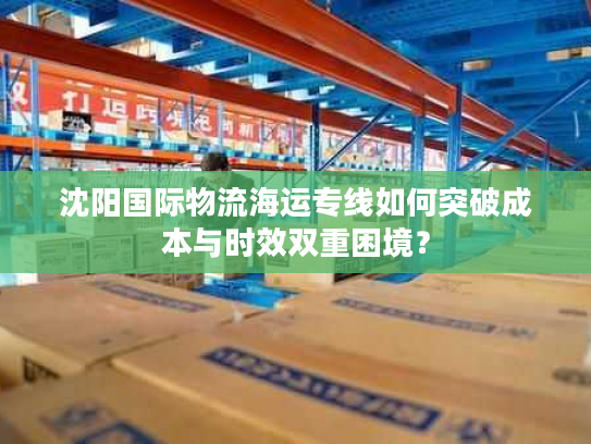 沈阳国际物流海运专线如何突破成本与时效双重困境？