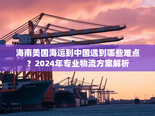 海南美国海运到中国遇到哪些难点？2024年专业物流方案解析