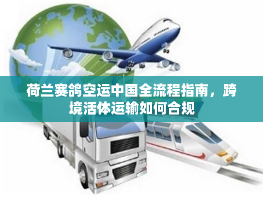 荷兰赛鸽空运中国全流程指南，跨境活体运输如何合规