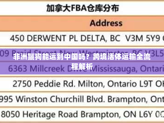 非洲鬣狗能运到中国吗？跨境活体运输全流程解析