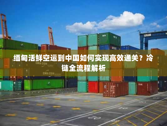 缅甸活鲜空运到中国如何实现高效通关？冷链全流程解析