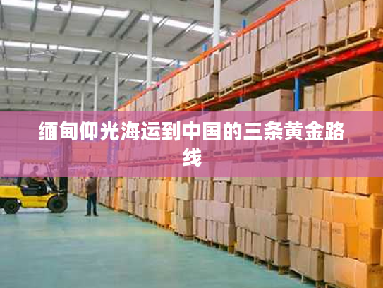 缅甸仰光海运到中国的三条黄金路线