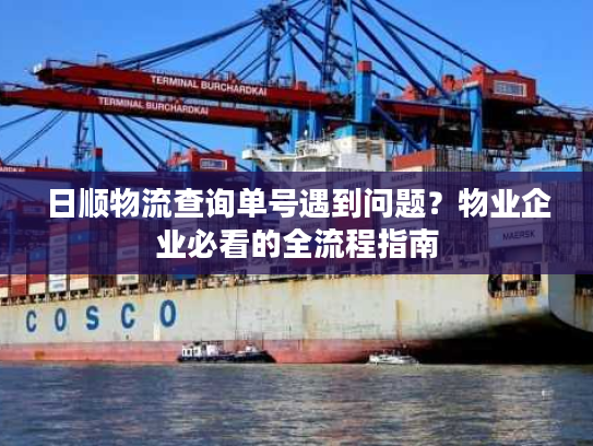 日顺物流查询单号遇到问题？物业企业必看的全流程指南