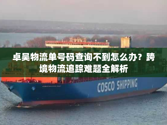 卓吴物流单号码查询不到怎么办？跨境物流追踪难题全解析