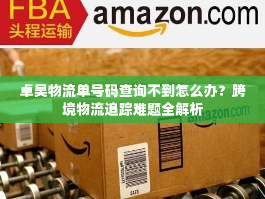 卓吴物流单号码查询不到怎么办？跨境物流追踪难题全解析