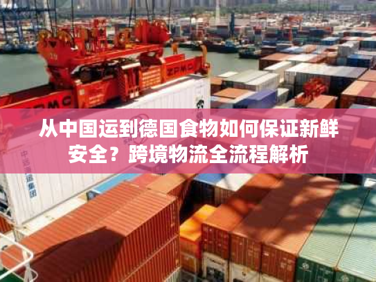 从中国运到德国食物如何保证新鲜安全？跨境物流全流程解析