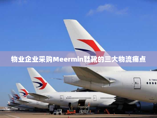 物业企业采购Meermin鞋靴的三大物流痛点