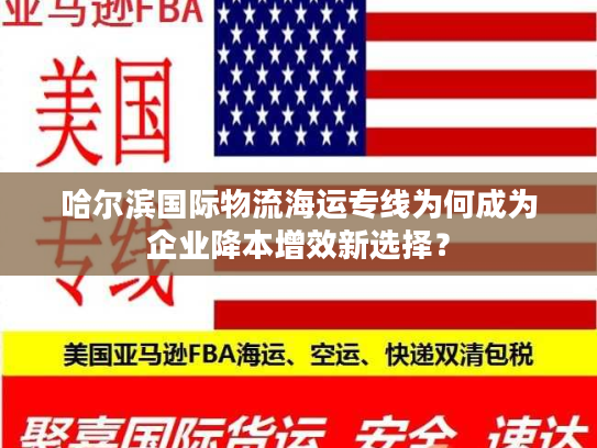 哈尔滨国际物流海运专线为何成为企业降本增效新选择？