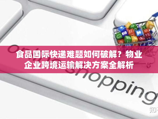 食品国际快递难题如何破解？物业企业跨境运输解决方案全解析