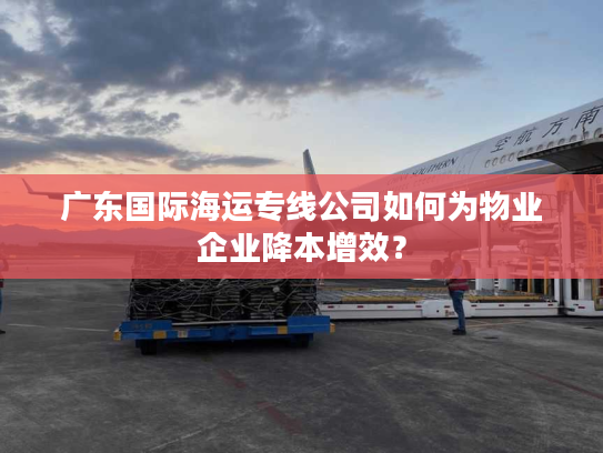 广东国际海运专线公司如何为物业企业降本增效？