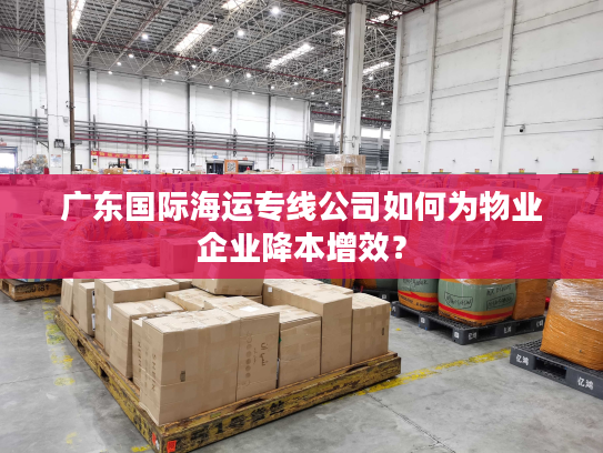 广东国际海运专线公司如何为物业企业降本增效？