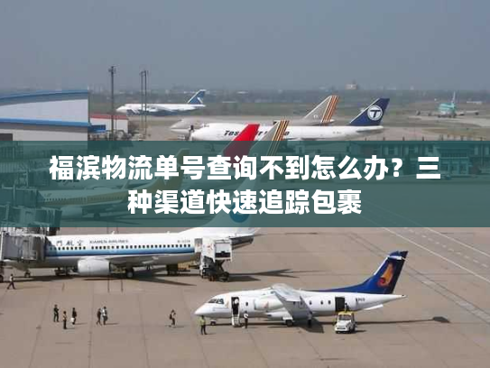 福滨物流单号查询不到怎么办？三种渠道快速追踪包裹