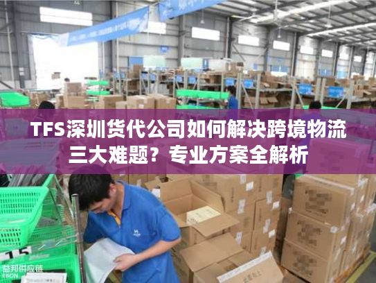 TFS深圳货代公司如何解决跨境物流三大难题？专业方案全解析