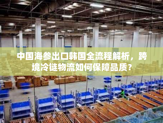 中国海参出口韩国全流程解析，跨境冷链物流如何保障品质？