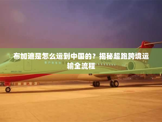 布加迪是怎么运到中国的？揭秘超跑跨境运输全流程