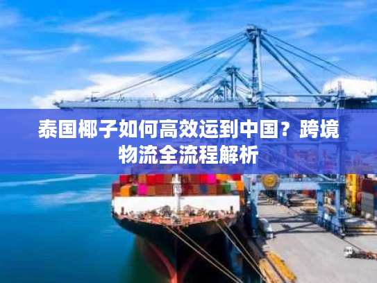 泰国椰子如何高效运到中国？跨境物流全流程解析