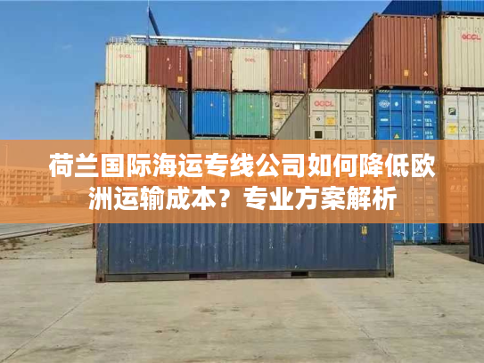 荷兰国际海运专线公司如何降低欧洲运输成本？专业方案解析