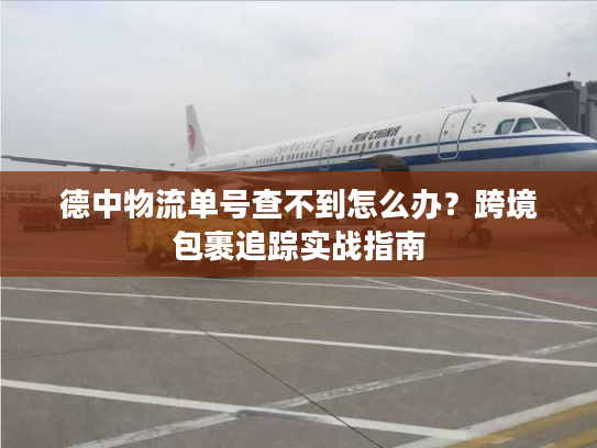 德中物流单号查不到怎么办？跨境包裹追踪实战指南