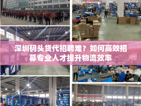 深圳码头货代招聘难？如何高效招募专业人才提升物流效率