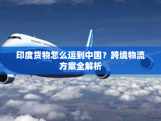 印度货物怎么运到中国？跨境物流方案全解析