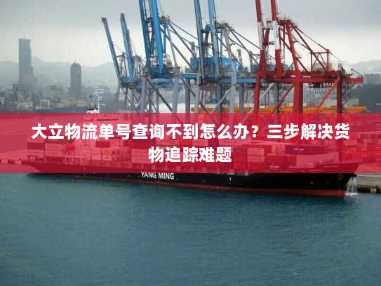 大立物流单号查询不到怎么办？三步解决货物追踪难题