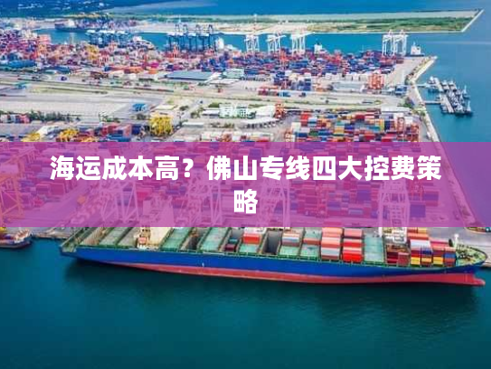 海运成本高？佛山专线四大控费策略