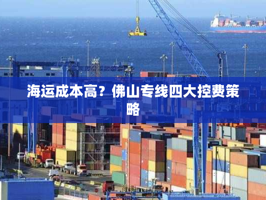 海运成本高？佛山专线四大控费策略