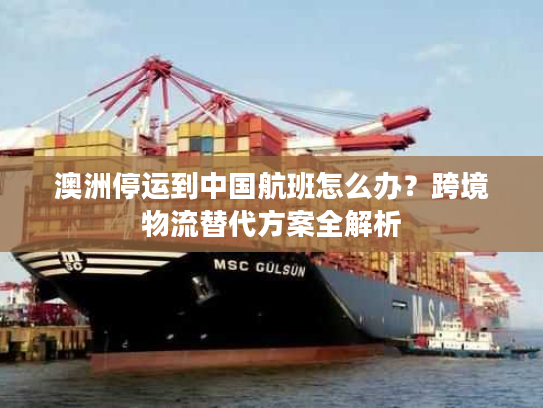 澳洲停运到中国航班怎么办?跨境物流替代方案全解析 澳洲停运到中国航班怎么办?跨境物流替代方案全解析