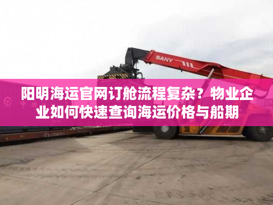 阳明海运官网订舱流程复杂？物业企业如何快速查询海运价格与船期