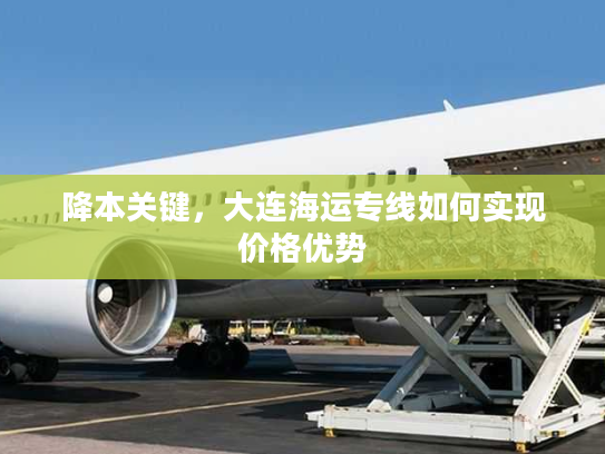 降本关键，大连海运专线如何实现价格优势