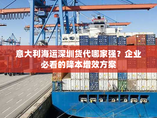 意大利海运深圳货代哪家强？企业必看的降本增效方案