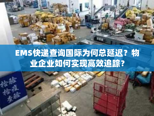 EMS快递查询国际为何总延迟?物业企业如何实现高效追踪? EMS快递查询国际为何总延迟?物业企业如何实现高效追踪?