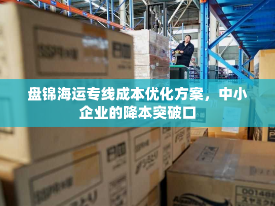 盘锦海运专线成本优化方案，中小企业的降本突破口