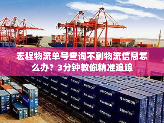 宏程物流单号查询不到物流信息怎么办？3分钟教你精准追踪