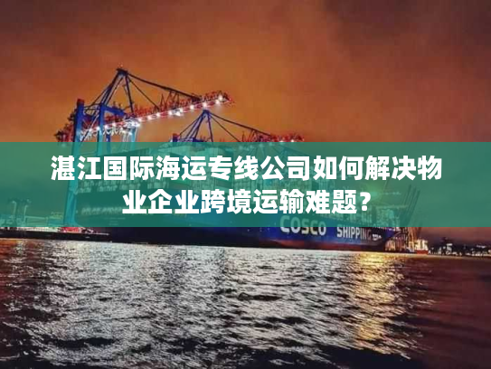 湛江国际海运专线公司如何解决物业企业跨境运输难题？