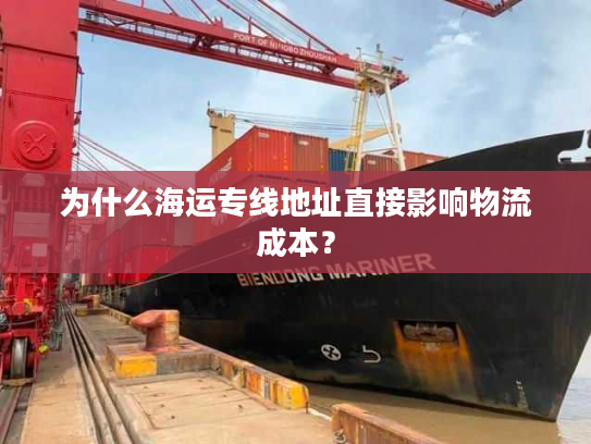 为什么海运专线地址直接影响物流成本？