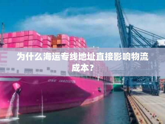 为什么海运专线地址直接影响物流成本？