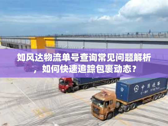 如风达物流单号查询常见问题解析，如何快速追踪包裹动态？