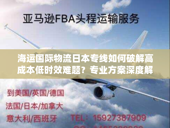 海运国际物流日本专线如何破解高成本低时效难题？专业方案深度解析