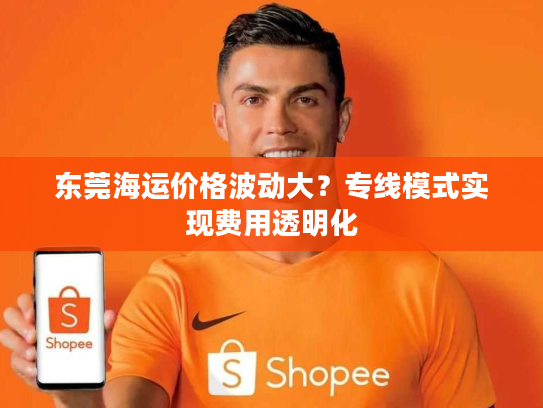 东莞海运价格波动大？专线模式实现费用透明化