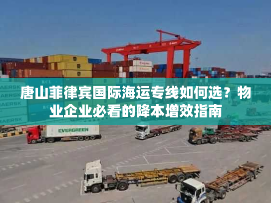 唐山菲律宾国际海运专线如何选？物业企业必看的降本增效指南