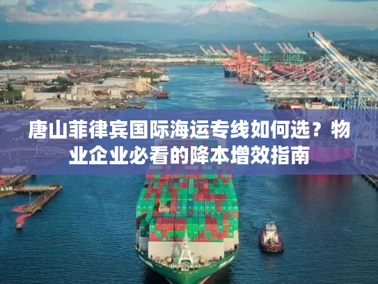 唐山菲律宾国际海运专线如何选？物业企业必看的降本增效指南