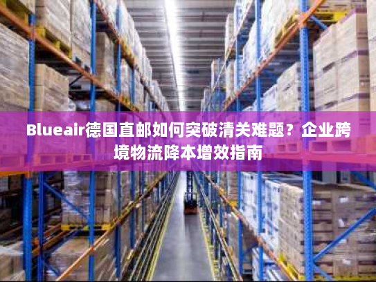 Blueair德国直邮如何突破清关难题?企业跨境物流降本增效指南 Blueair德国直邮如何突破清关难题?企业跨境物流降本增效指南