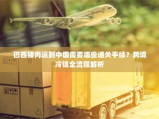 巴西猪肉运到中国需要哪些通关手续？跨境冷链全流程解析