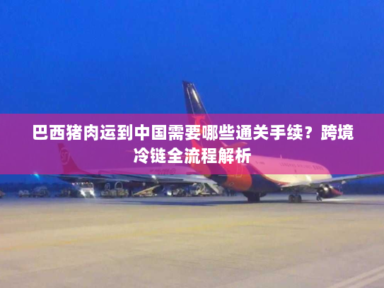 巴西猪肉运到中国需要哪些通关手续？跨境冷链全流程解析